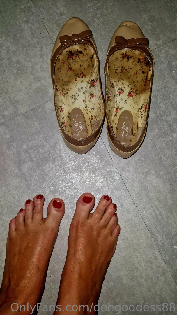 Anties been visiting you know because the whole living room stinks of part 4 