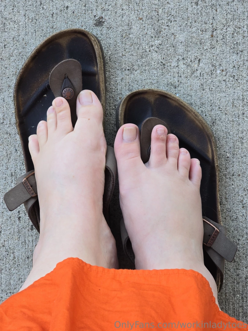 Updating my amazon wishlist what should i add 