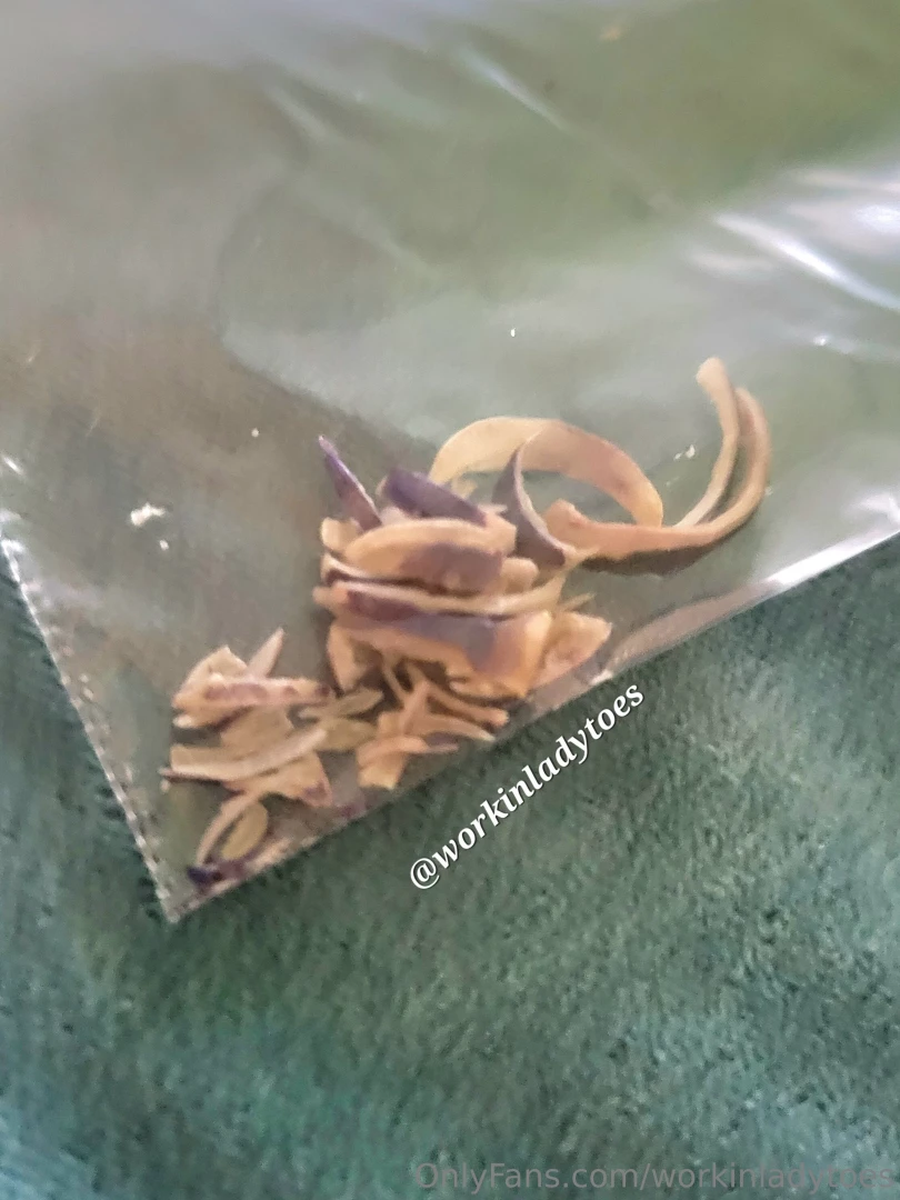 A lucky fan is getting all these toenail clippings from today my 