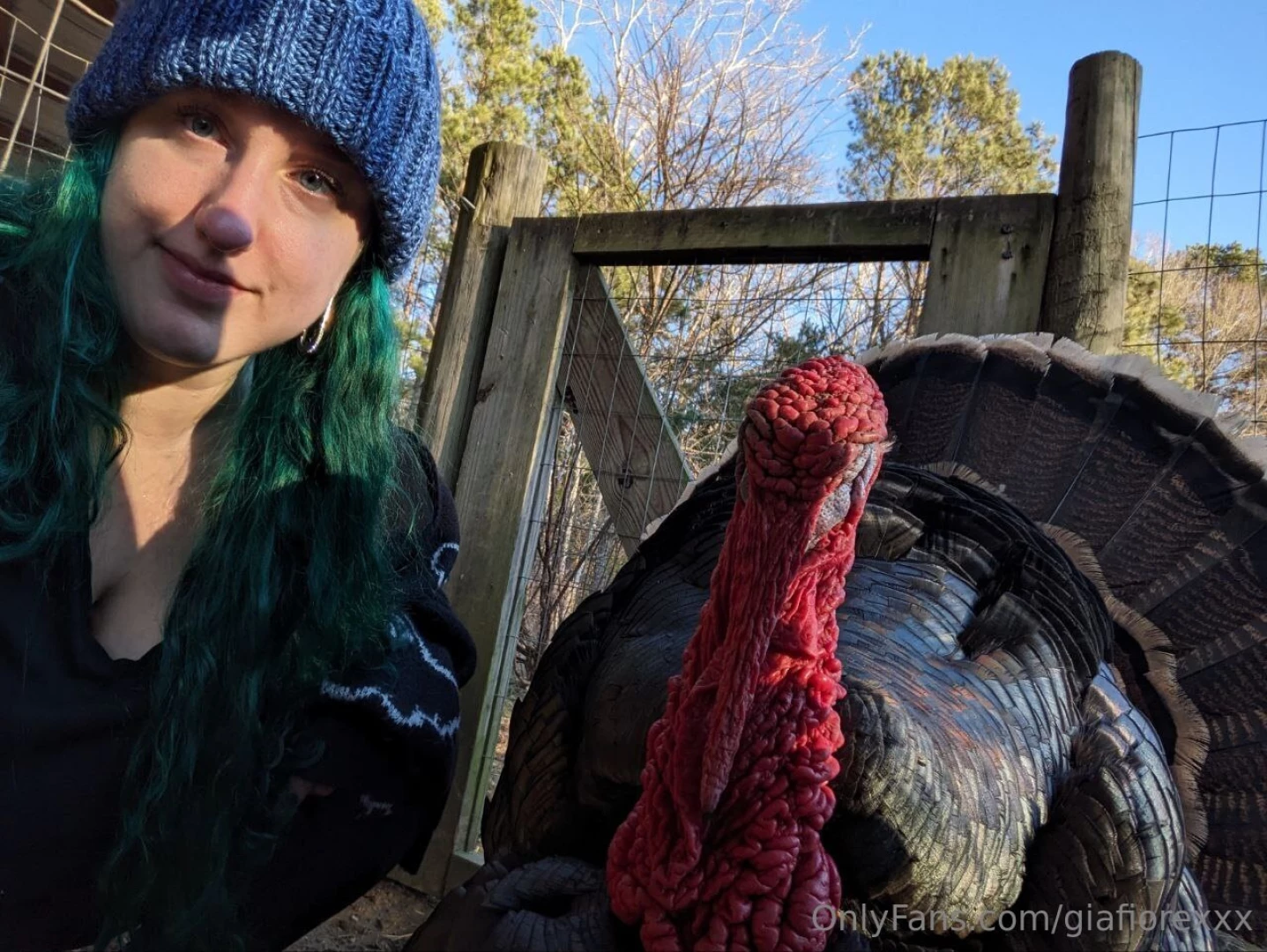 One more of my friend the turkey d 