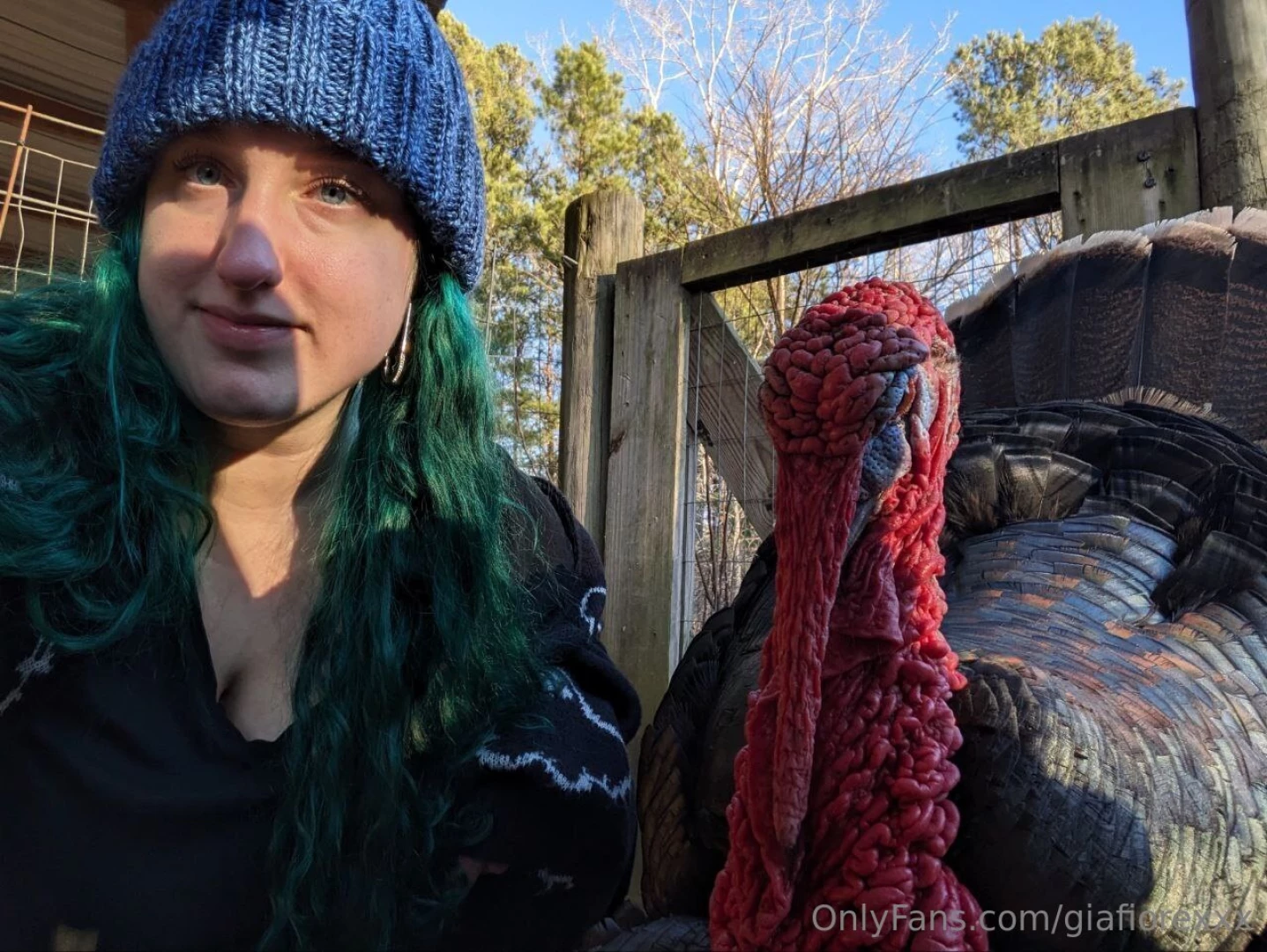 Its been cold in the mornings here here is my turkey friend 