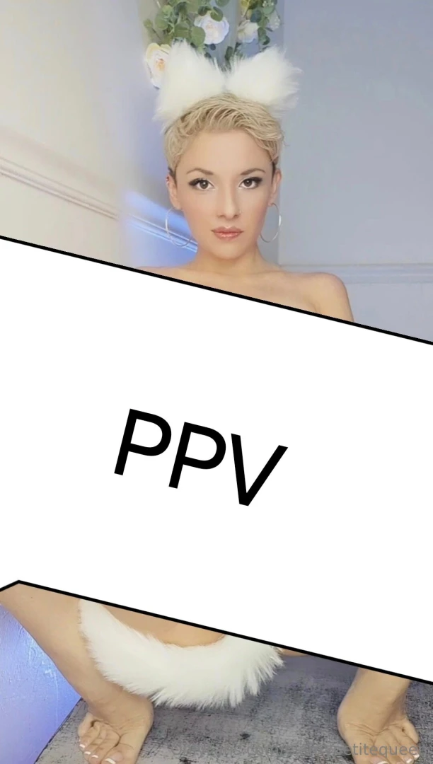 Extra naughty kitty cat trying a new toy a tongue vibrator hi honey i 