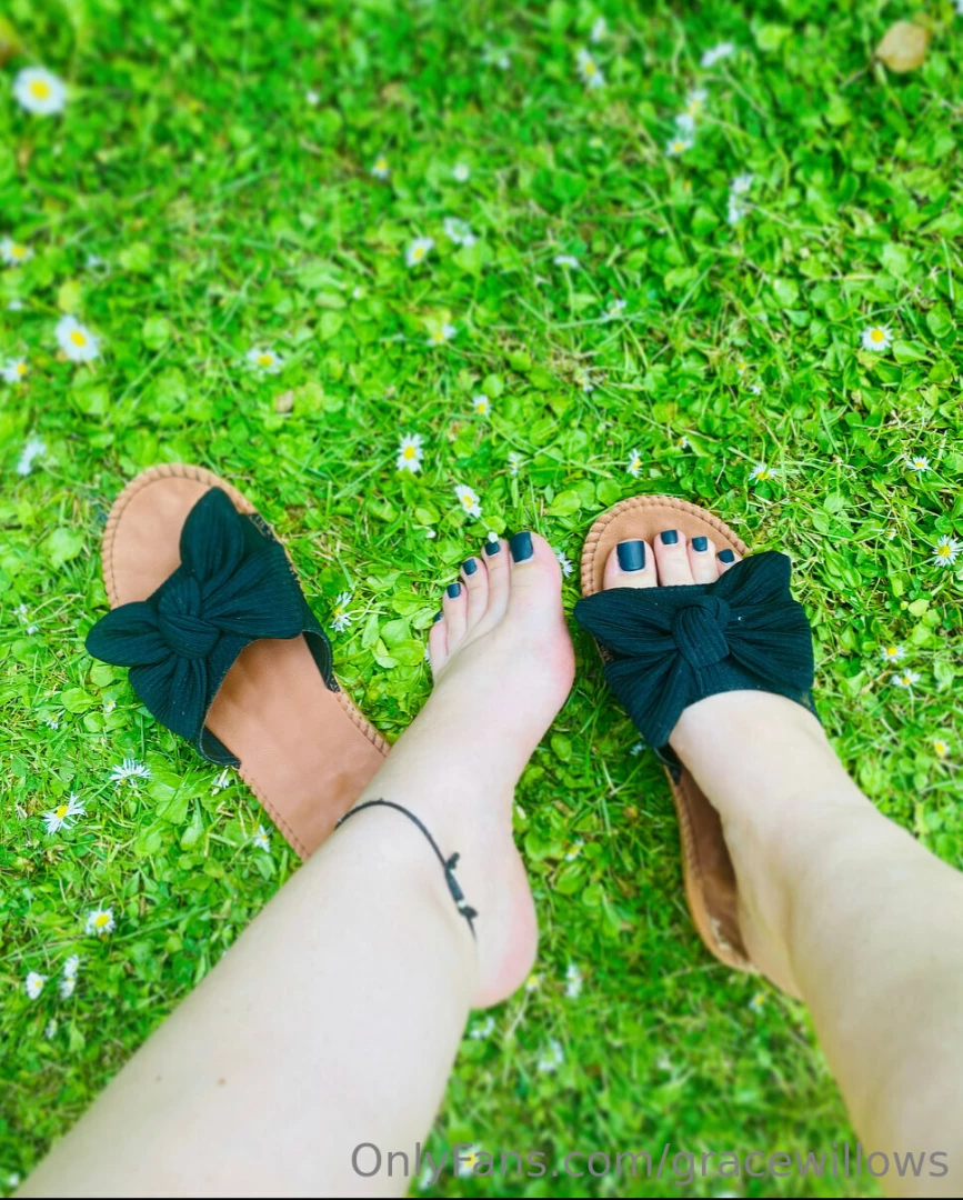 Gracewillows part 19 