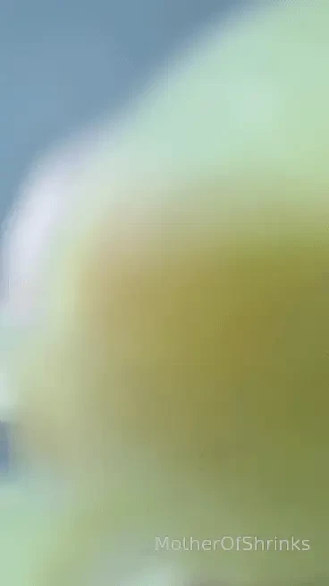 2 stomping videos for you i loved playing with the grapes and feeling 