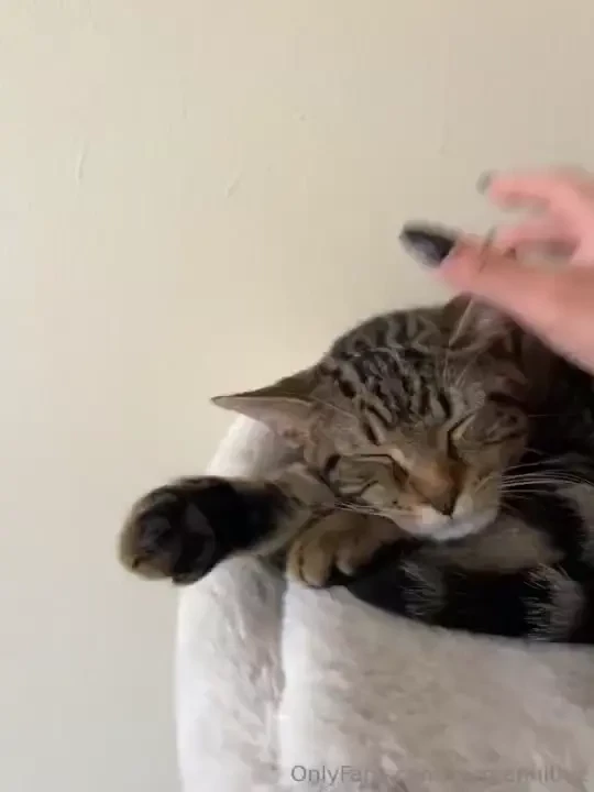 More kevin content so cute right anyways i introduced my other two part 1 