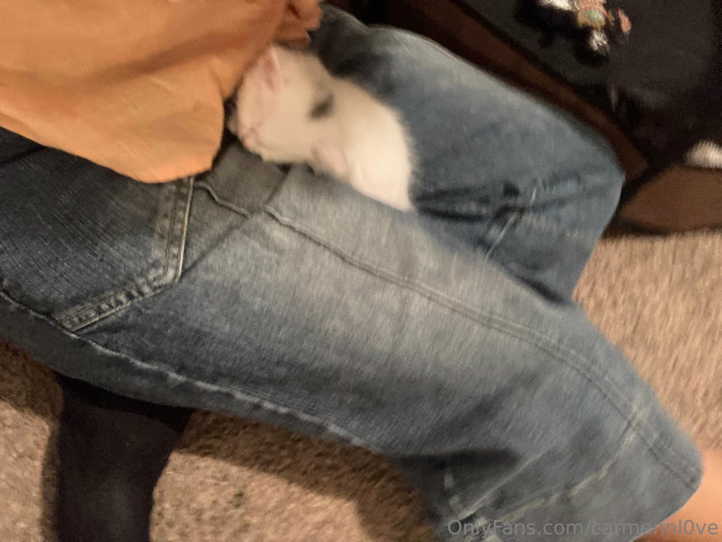 My cat recently had babbiessssss sooooo cute i love it smmm 
