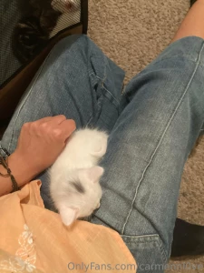 My cat recently had babbiessssss sooooo cute i love it smmm part 1