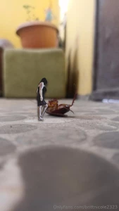 This goddess has been shrunken can any of my tinies help me