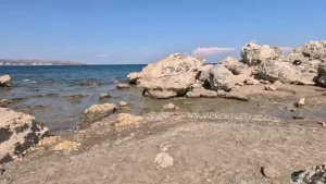 Film nagrany na publicznej pla y pierwszy taki film w mojej historii