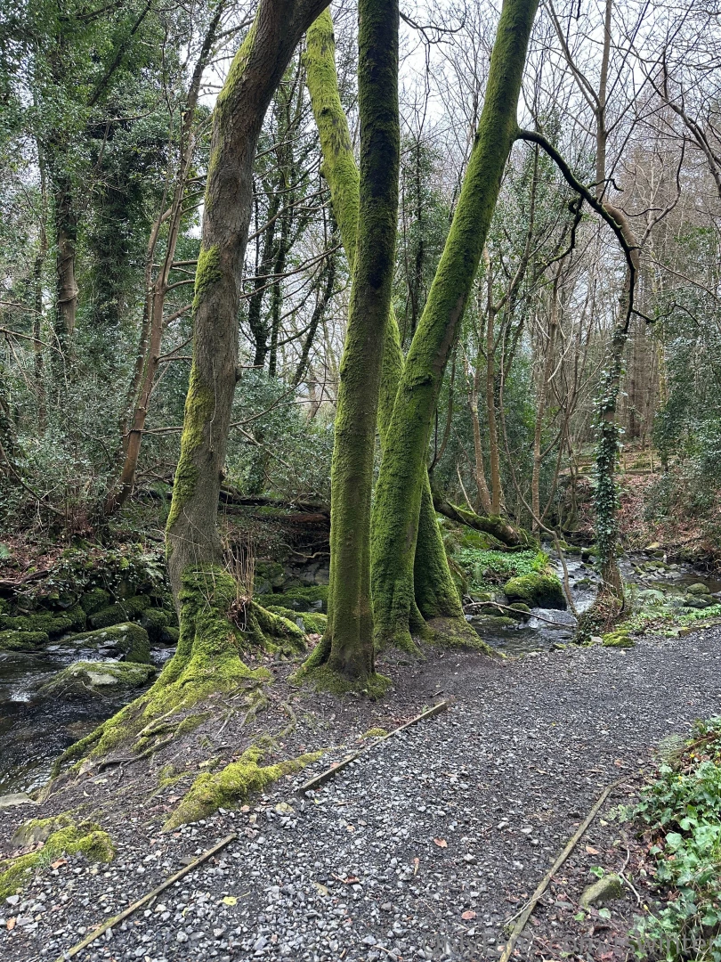 Would you go skinny dipping with me even if it was cold was taking a part 1 