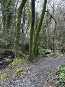 Would you go skinny dipping with me even if it was cold was taking a