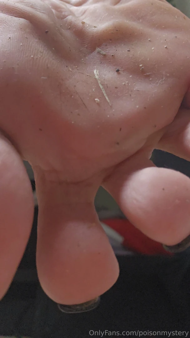 Do you see those particles on my sole this is debris from your city part 3 