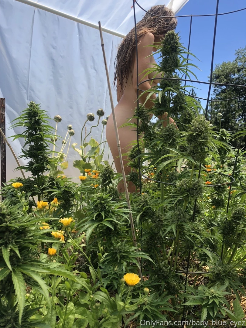 After taking an ice bath with my flowers hard to resist the urge to part 1 