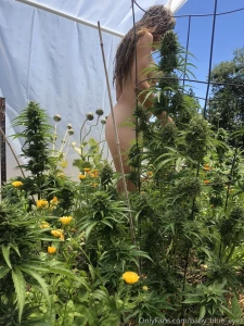 After taking an ice bath with my flowers hard to resist the urge to part 1