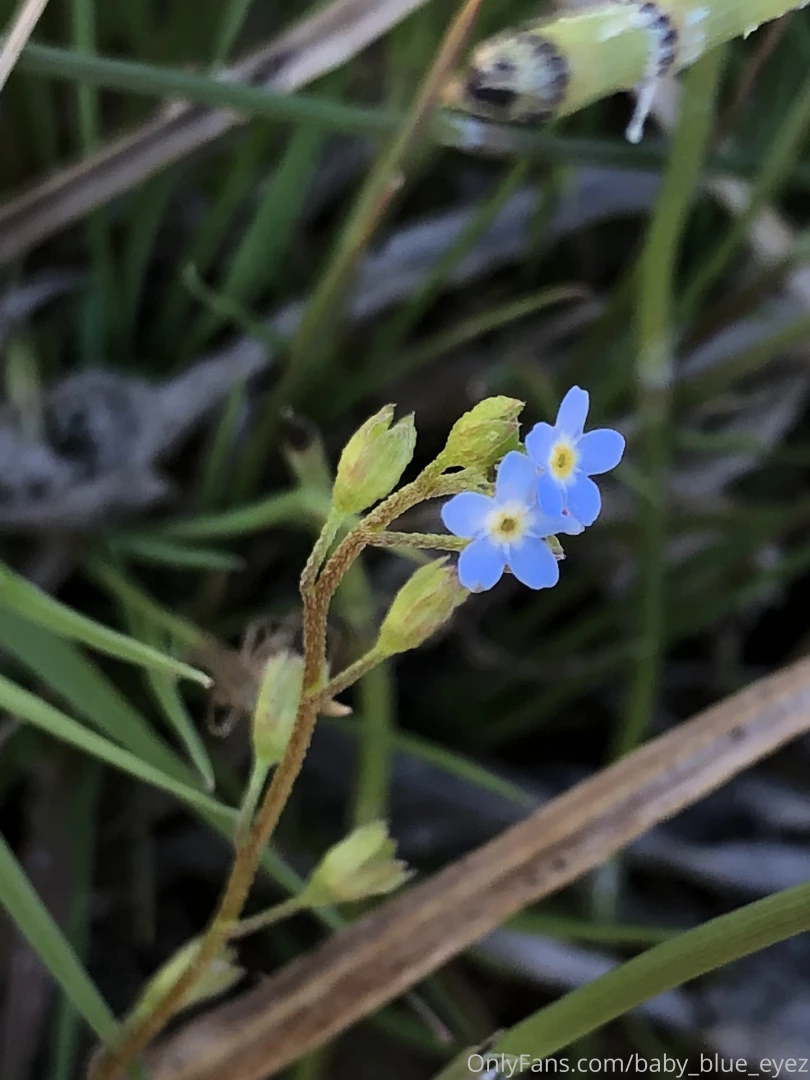 Comment your favorite thing to do when it s cold outside i love to go part 3 