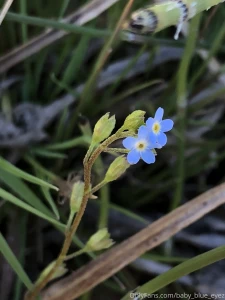 Comment your favorite thing to do when it s cold outside i love to go part 3