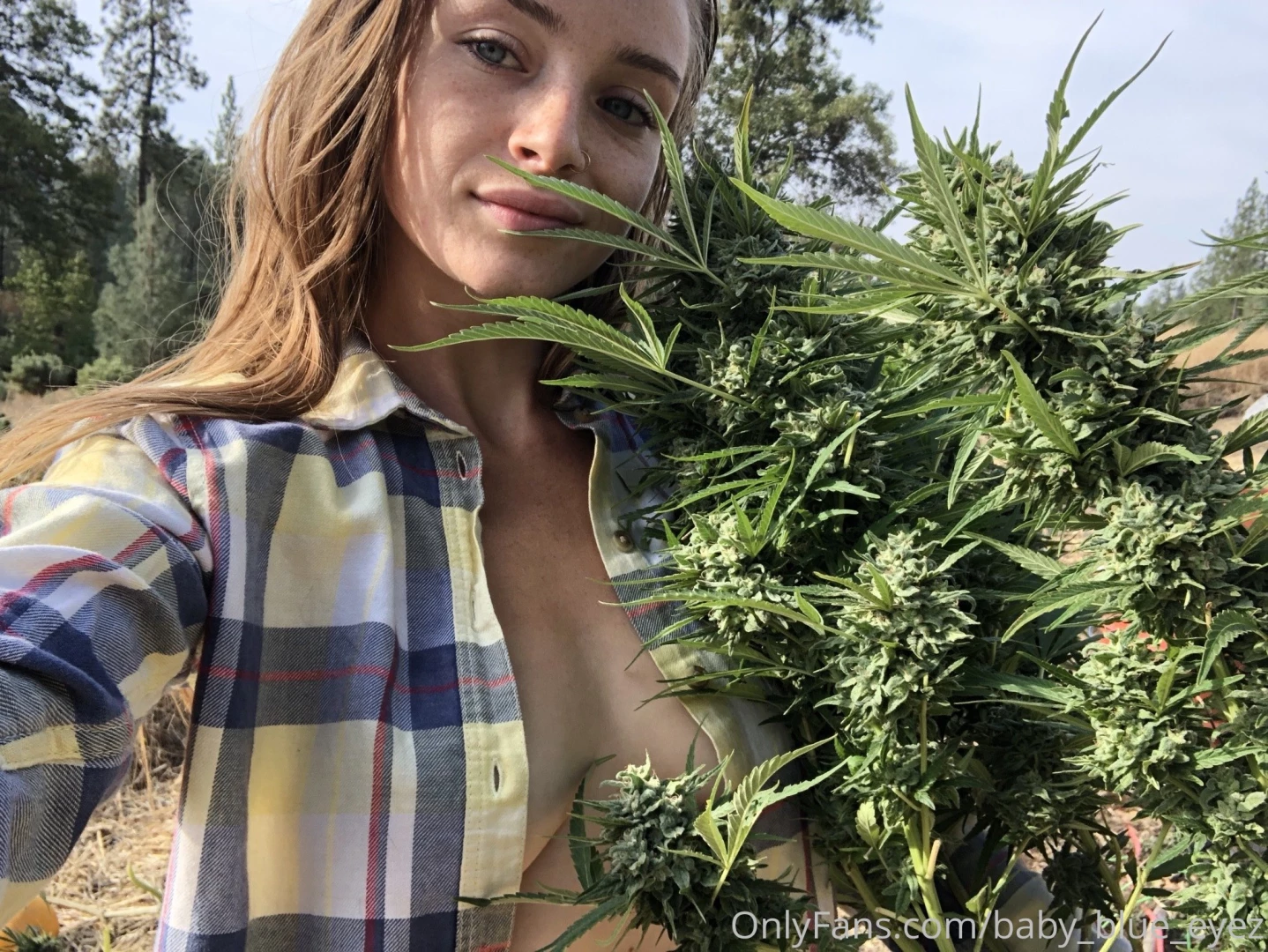 Missing taking photos with these beautiful summer plants this plant part 2 