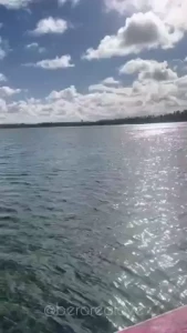 We had an adventure into the high seas the captain moored the boat and