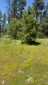 Just a little teaser part 5