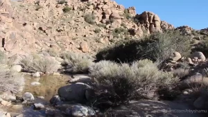 A western romance morgxnthicke