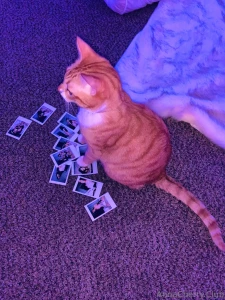 We ve been friends since avns last year and finally spent some part 5