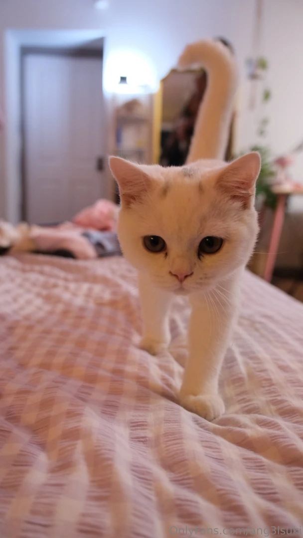 Absolute love of my freakin life part 1 