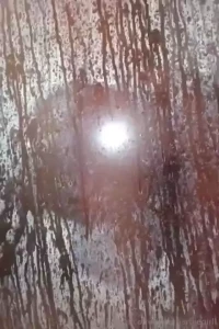 What do you do after a nice shower