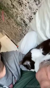 Kitty timeline cleanse happy friday