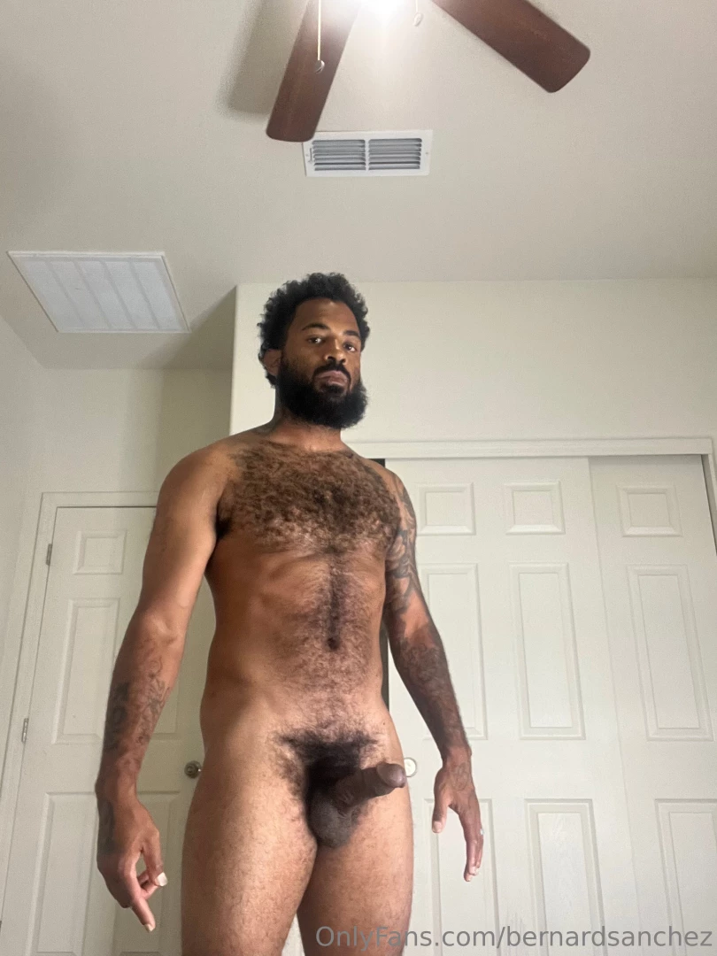 Bernardsanchez part 2 