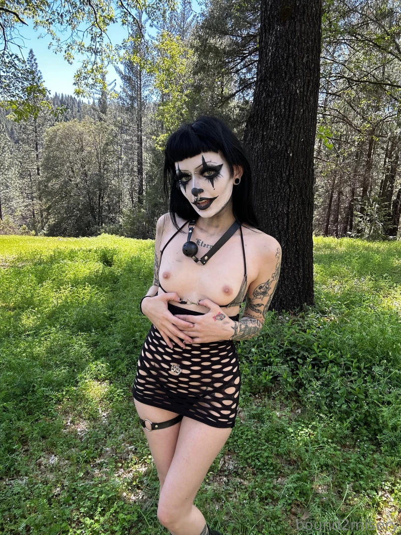 The cutest clown you d ever find in the woods 