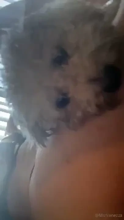 No me dan mi espacio 