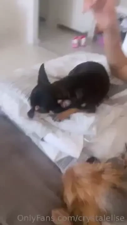 Ready for lunch did u starve too 