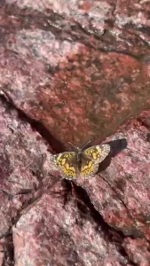 I ran out of cream so i came in my coffee watch me do the whole thing part 1