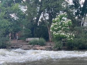 I ran out of cream so i came in my coffee watch me do the whole thing