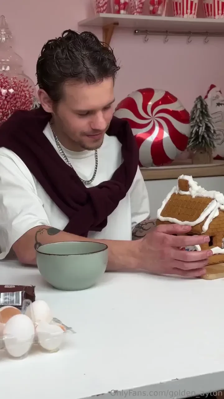 Wanna check out this gingerbread house i made it s pretty sick 