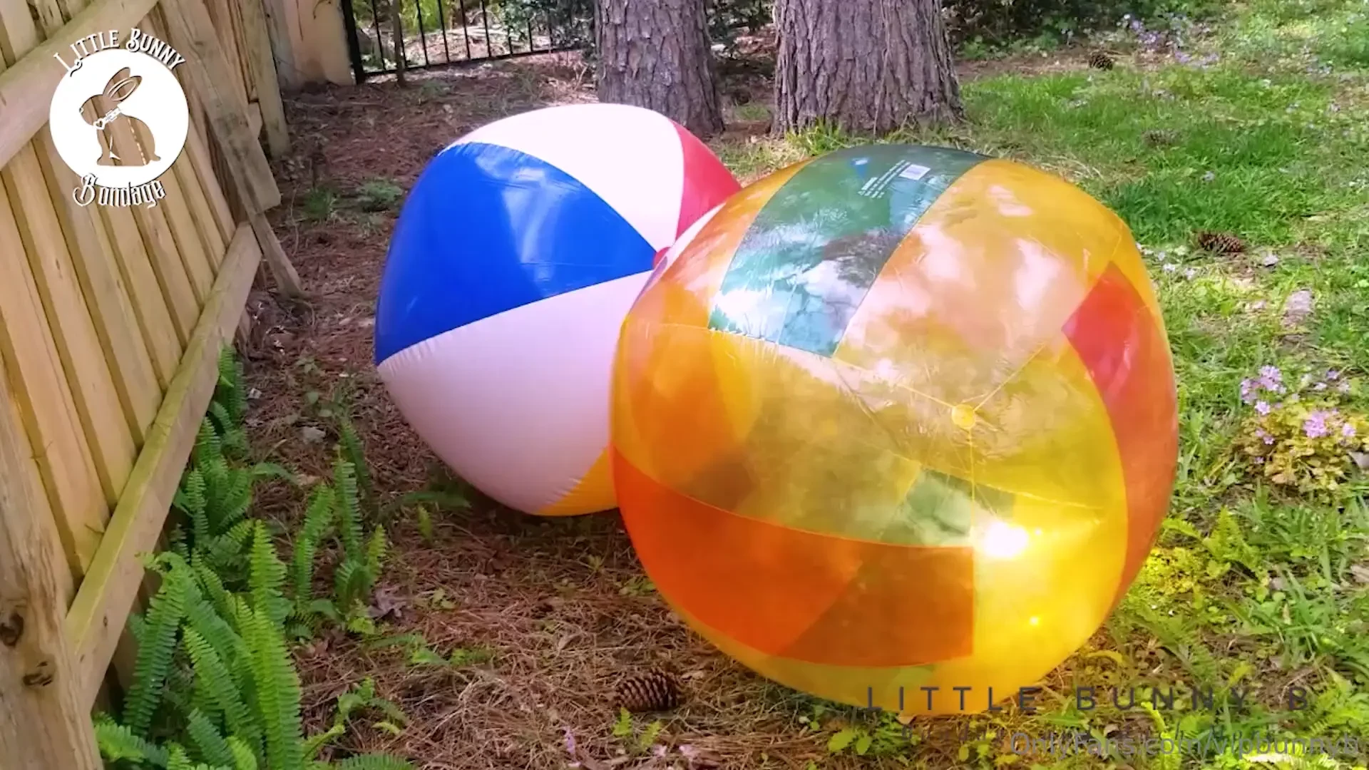 I found this ball and i m going to bounce on it and rub my pussy on it 