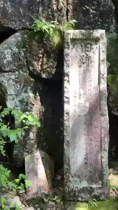 Japanese forest asmr - 3 part series part 2 