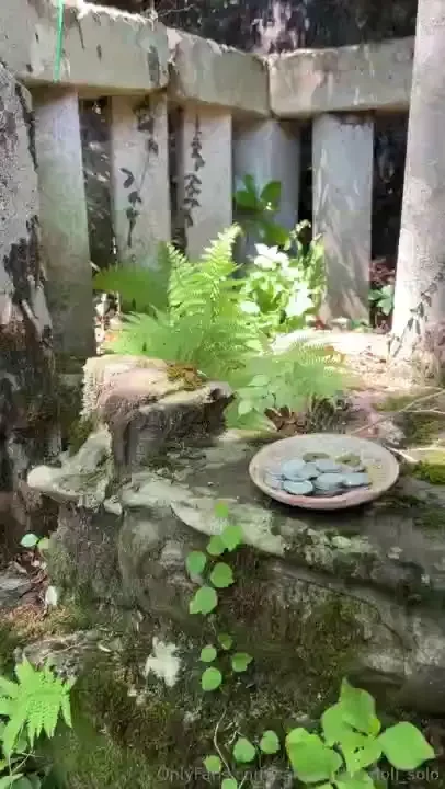 Japanese forest asmr - 3 part series 