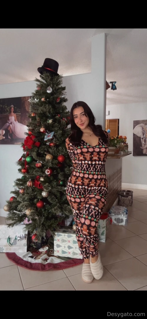 How did you spend your christmas my loveee 