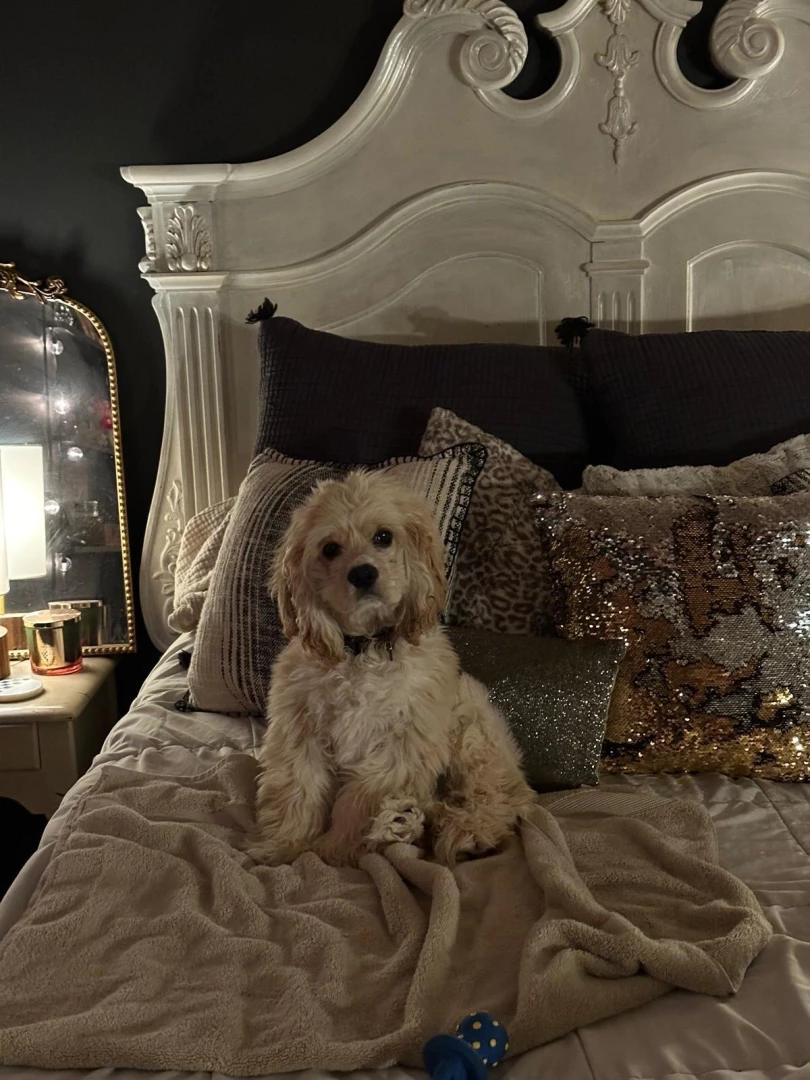 Look at this cutie pie 