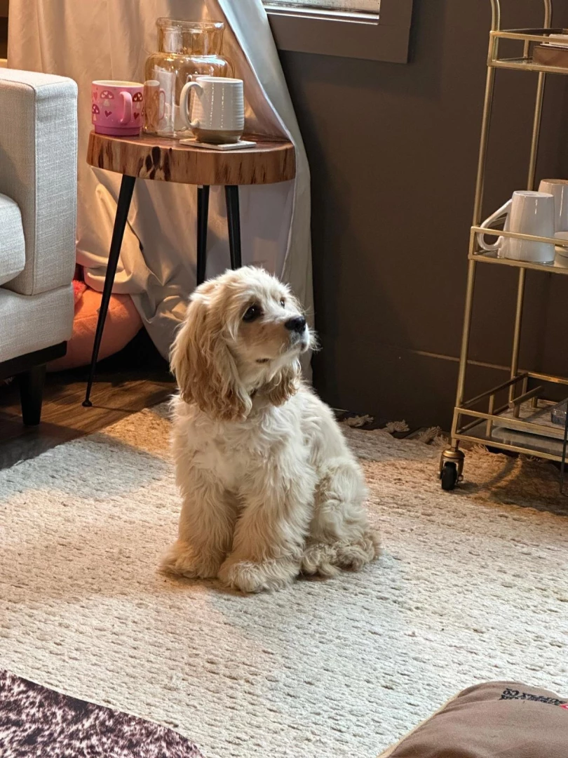 Just look at that face 