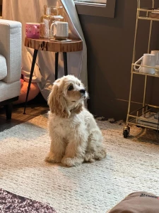 Just look at that face