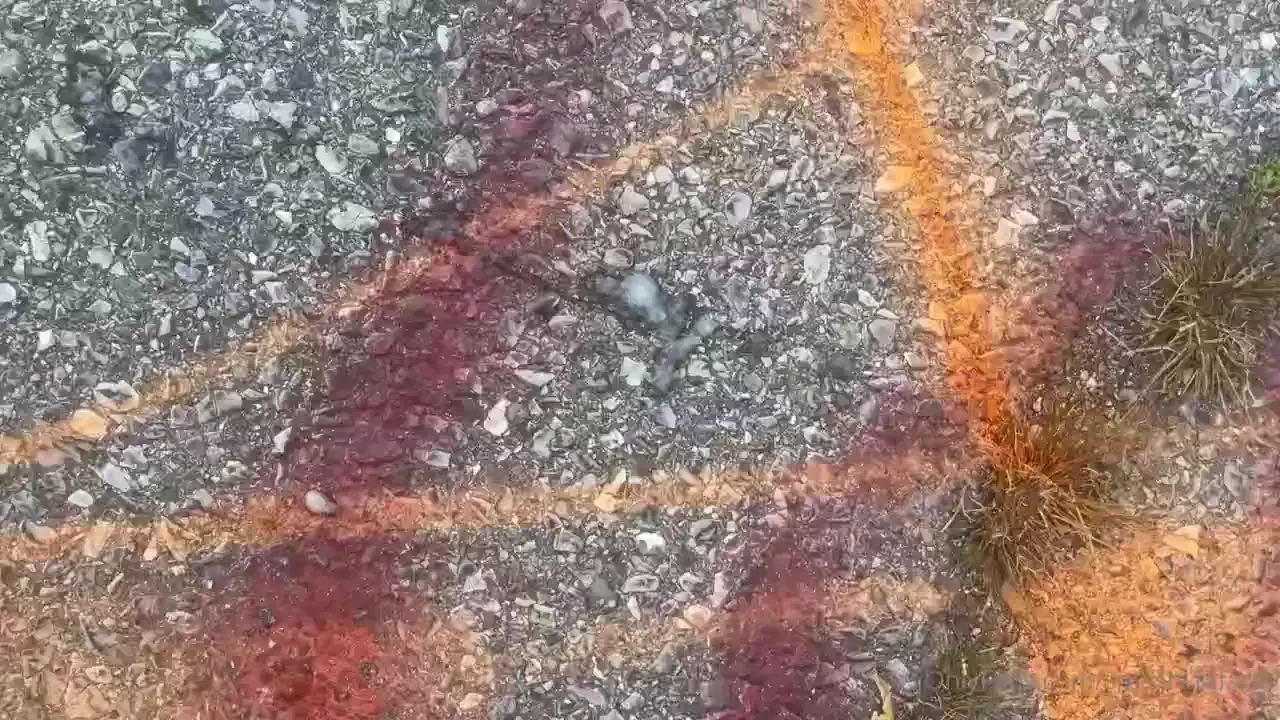 Whaddup everybody sorry i haven t been very active lately i ve been 