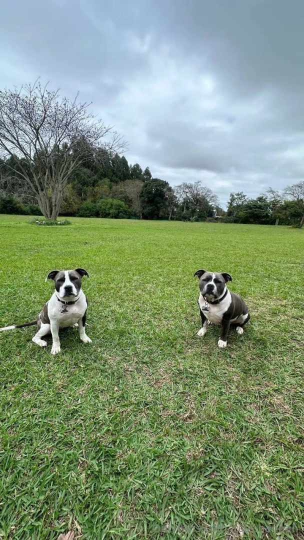 The girls wanted to say hiiii part 1 
