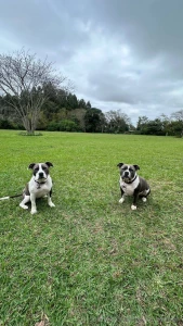 The girls wanted to say hiiii part 1