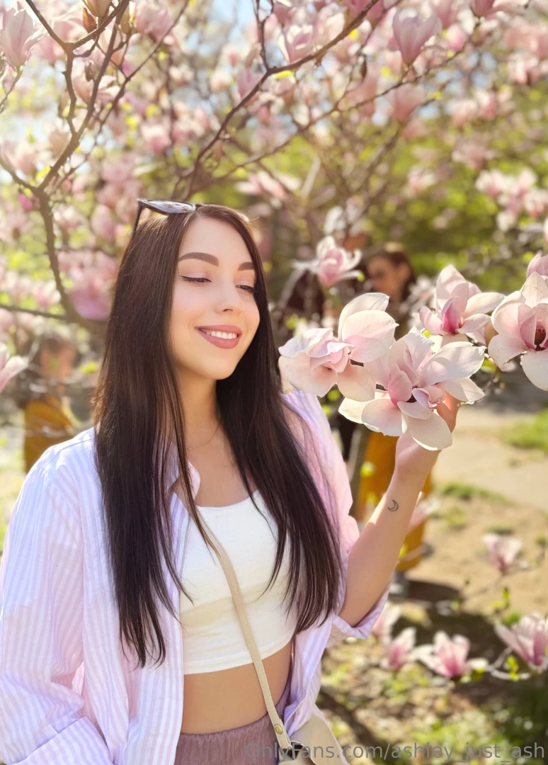 I like to walk in the park in the spring 