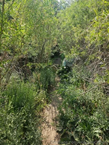 Flash you friday guys guys ahhhh don t leave me hanging i need this part 5