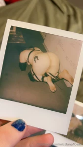 Im alive let s get this ball rolling again i have some bitch suit part 1