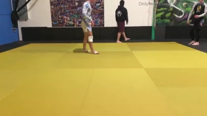 For those who don t know what jujitsu is this is an explanation post i part 1