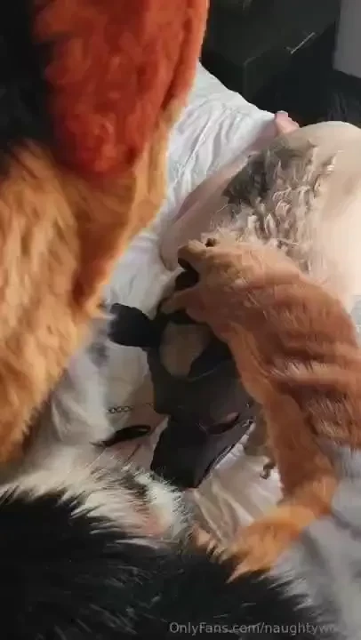 Love seeing shyyrye being such a good pup to me she knows how to serve 